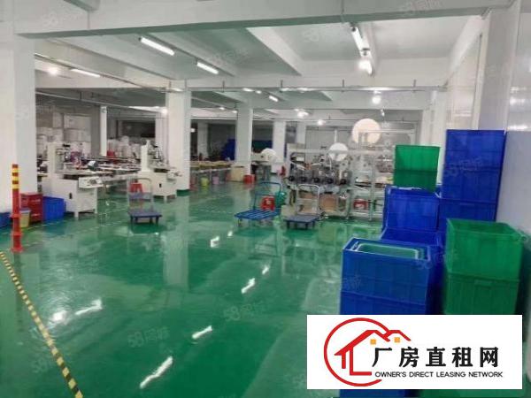  横岗六约全新洁净厂房实际面积出租有红本三顿货梯空地非常大