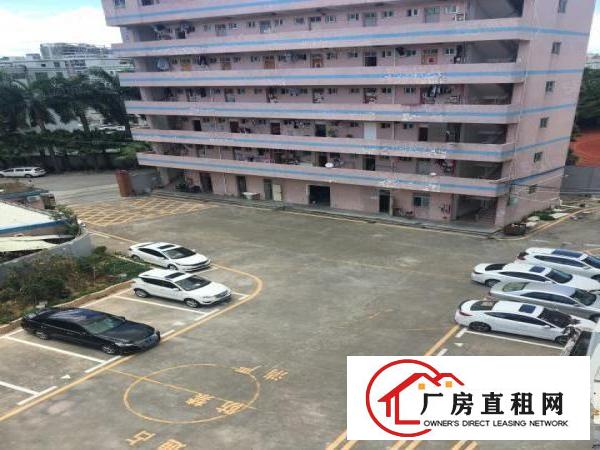  塘坑地铁口1楼1400平方厂房出租，大小分租