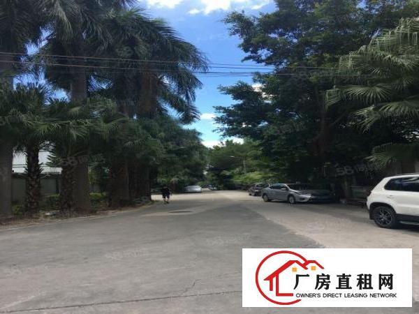  塘坑地铁口1楼1400平方厂房出租，大小分租