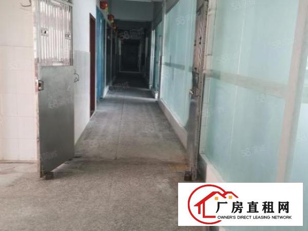  塘坑地铁口1楼1400平方厂房出租，大小分租