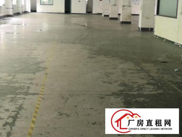  横岗独院厂房8800平方出租