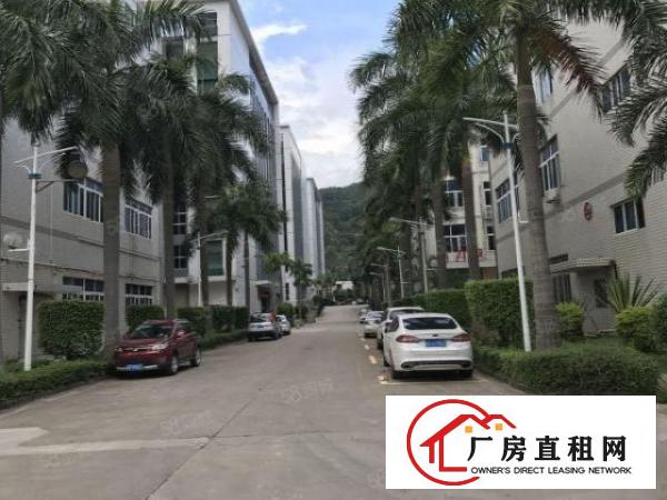  横岗永湖地铁站A出口红本厂房出租