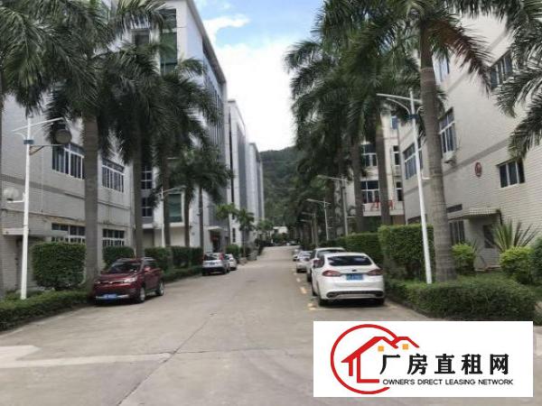  横岗永湖地铁站A出口红本厂房出租