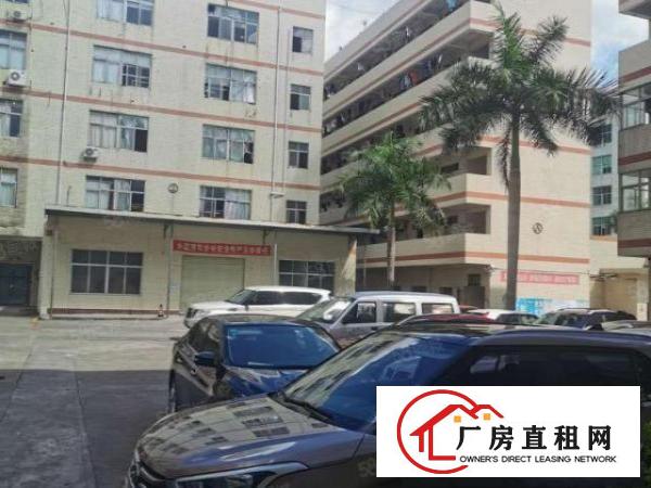  横岗四联原房东厂房出租