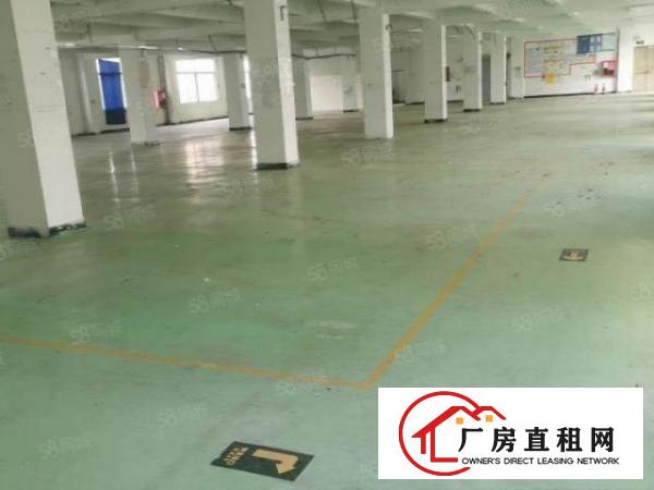  横岗四联原房东厂房出租