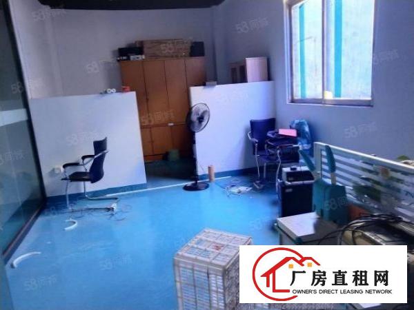  精装修无转让费横岗六约原房东红本独院厂房仓库直租整租分租