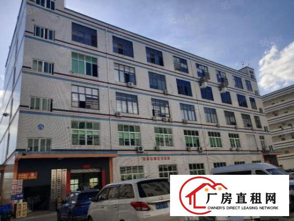  精装修无转让费横岗六约原房东红本独院厂房仓库直租整租分租