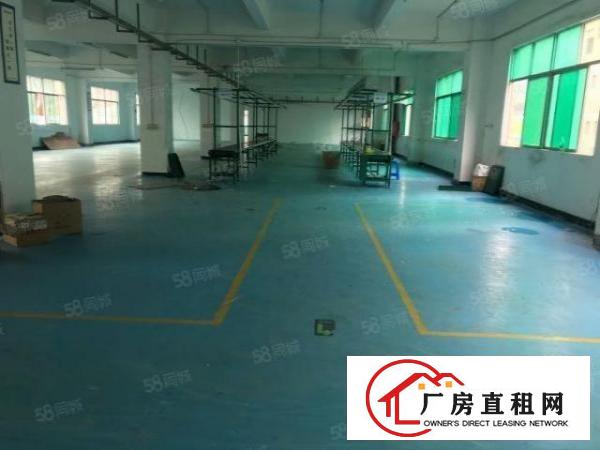  精装修无转让费横岗六约原房东红本独院厂房仓库直租整租分租