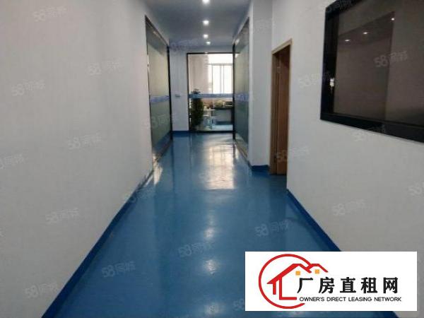  精装修无转让费横岗六约原房东红本独院厂房仓库直租整租分租
