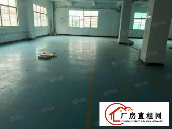  精装修无转让费横岗六约原房东红本独院厂房仓库直租整租分租
