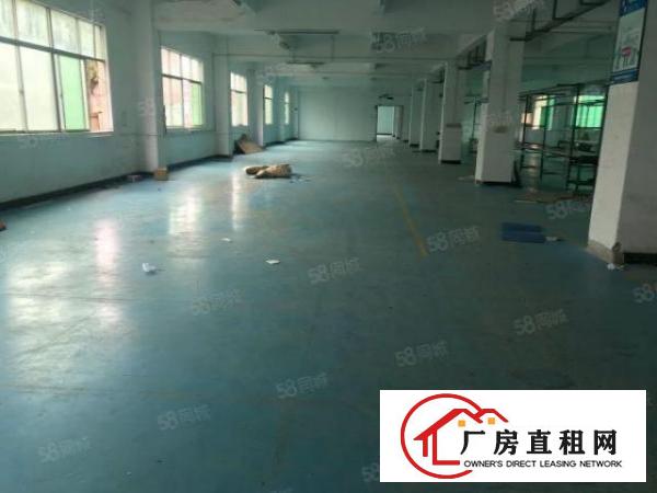  精装修无转让费横岗六约原房东红本独院厂房仓库直租整租分租