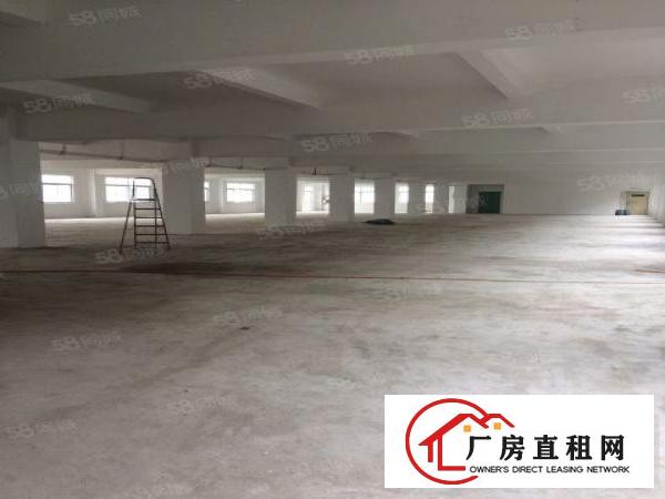  出租横岗六约工改商厂房100至2800平方