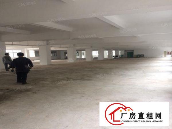  出租横岗六约工改商厂房100至2800平方