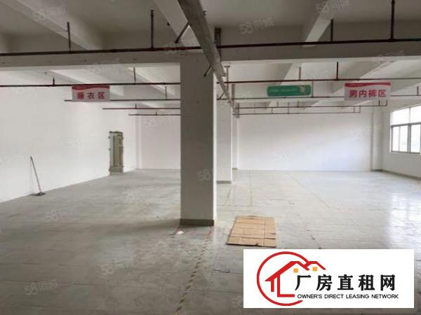  出租横岗六约工改商厂房100至2800平方