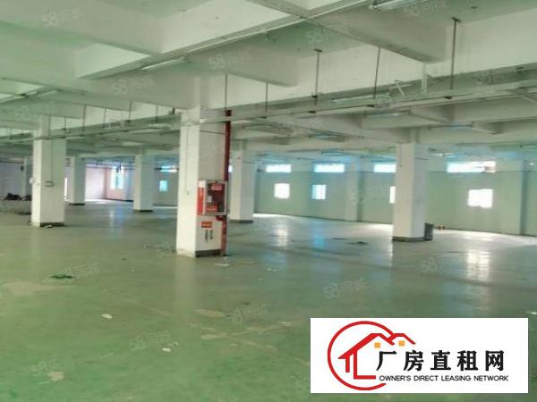  横岗安良1000厂房出租