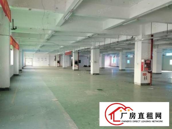  横岗安良1000厂房出租