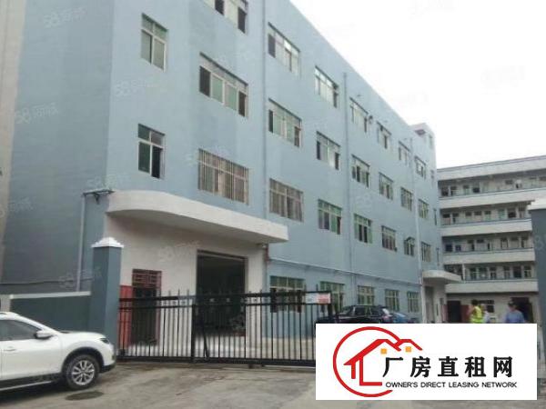  西坑工业区独门独院8800平方整租20元一平方大小可分租