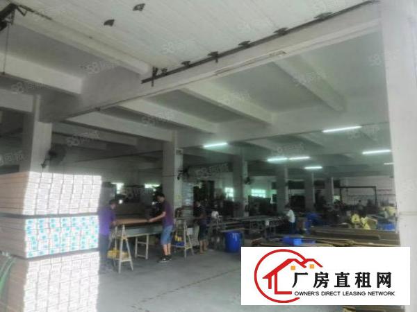  西坑工业区独门独院8800平方整租20元一平方大小可分租