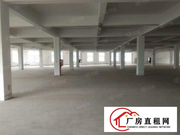  西坑工业区独门独院8800平方整租20元一平方大小可分租