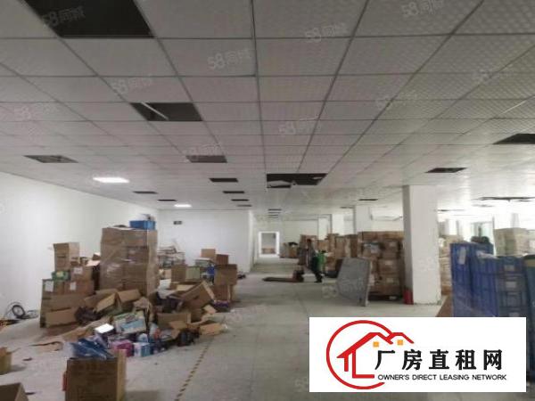  荷坳地铁口2450平方整层厂房出租，可以分租