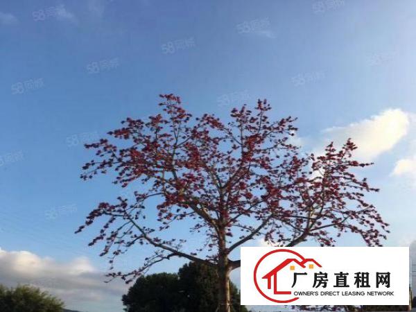  HG全新小型仓储写字楼出租