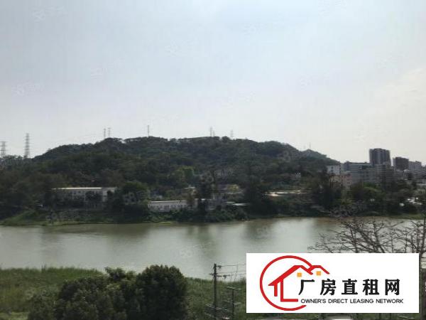  HG全新小型仓储写字楼出租