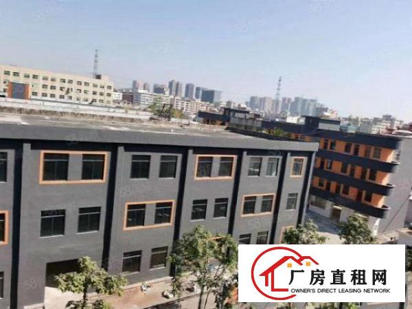  原房东，3615平龙岗横岗独门独院厂房出租标准仓库
