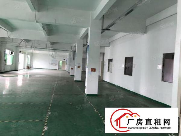 横岗坳背工业区厂房一楼700平方