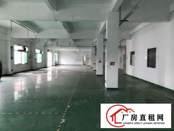  横岗坳背工业区厂房一楼700平方