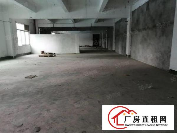  横岗安良新出楼上585平米出租
