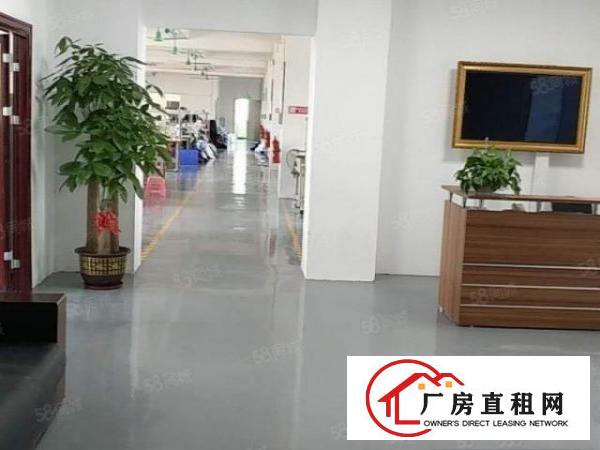  横岗安良社区新出现在服装厂600平方出租