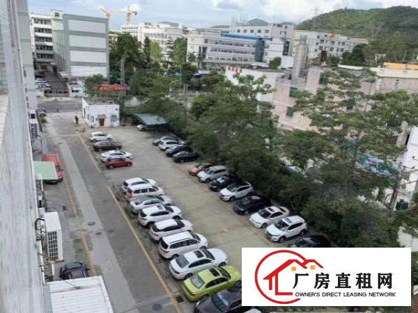  横岗六约红本厂房大小分租