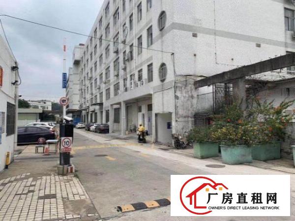 横岗六约红本厂房大小分租