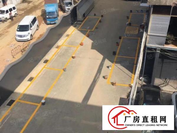  业主大康太原街6号一楼260平方招租