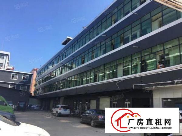  业主大康太原街6号一楼260平方招租