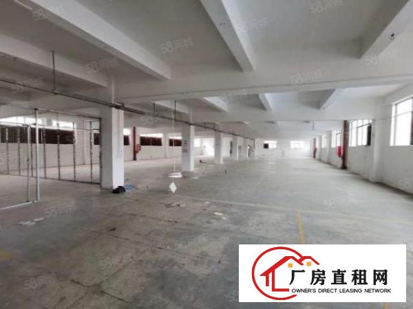 大康独院2层3200平方出租，可分层租