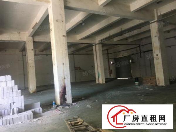  大康独院2层3200平方出租，可分层租