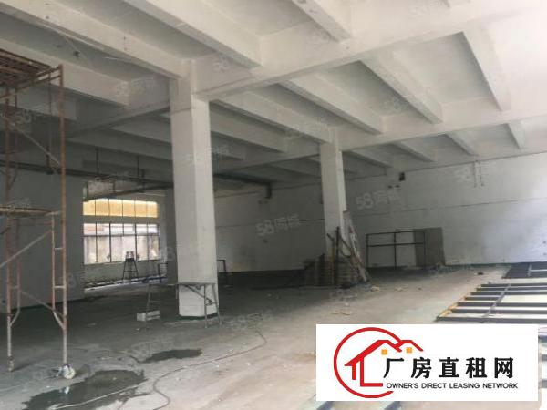  大康独院2层3200平方出租，可分层租