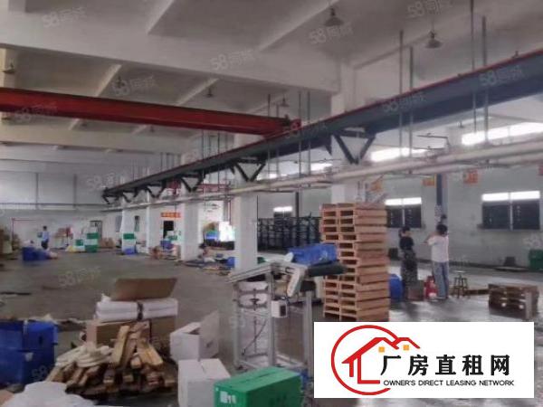  大康独院2层3200平方出租，可分层租