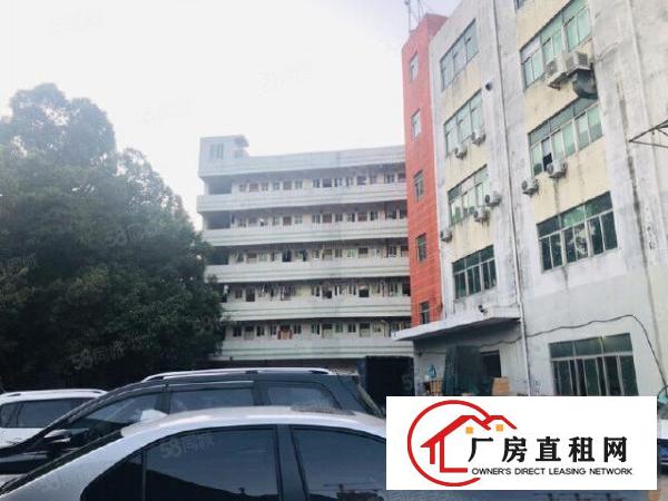  龙岗横岗主干道精装修厂房1300平，原房东实际面积出租