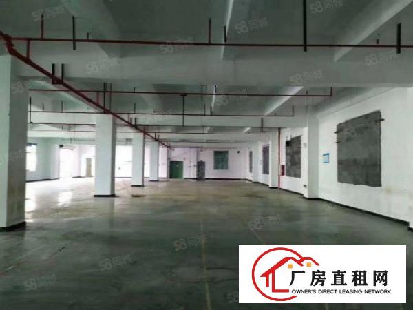  房东直租横岗189工业区电商仓库研发生产交通便利可进大车