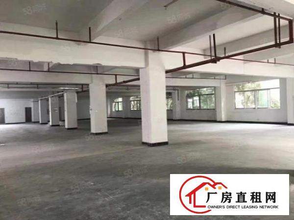  房东直租横岗189工业区电商仓库研发生产交通便利可进大车
