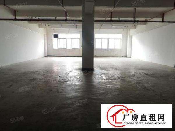  房东直租横岗189工业区电商仓库研发生产交通便利可进大车