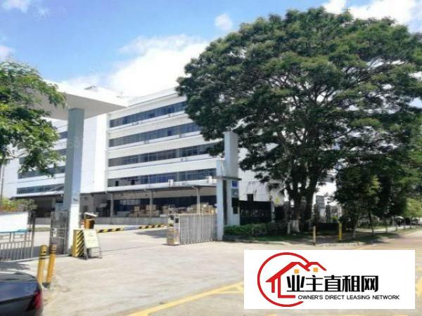  龙岗区横岗六约一楼1800平二楼1800平出租，可分租空地大