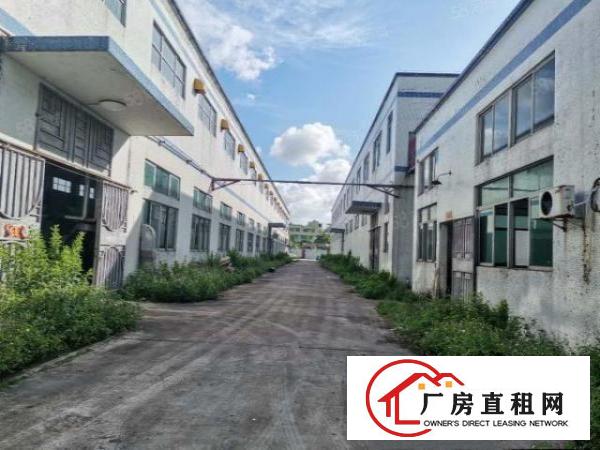  深圳坪山25000平米，单一层钢结构厂房出租，可以分租