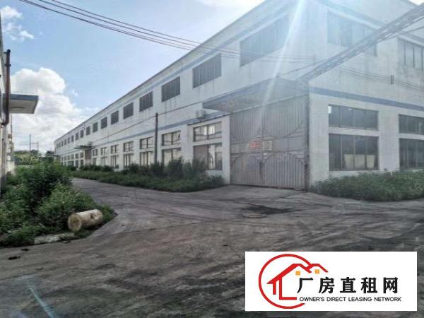  深圳坪山25000平米，单一层钢结构厂房出租，可以分租