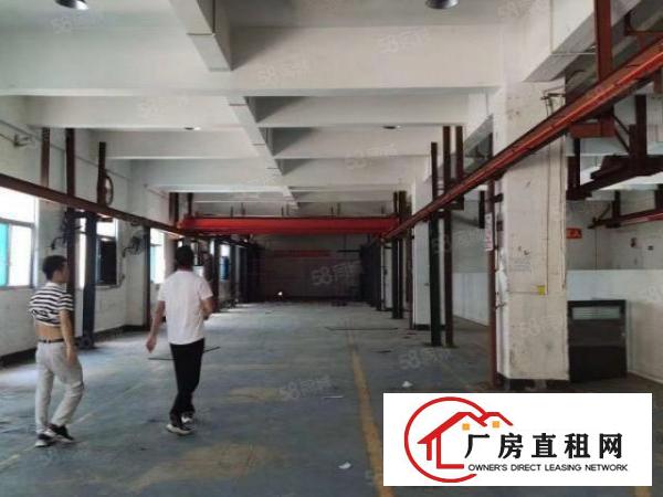  横岗一手房东一楼厂房1400平方出租，可分租