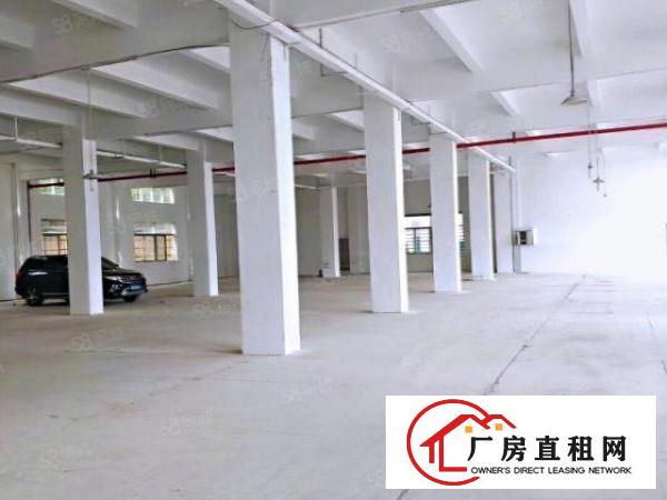  安良工业园新出一楼620平厂房仓库出租，可进大车