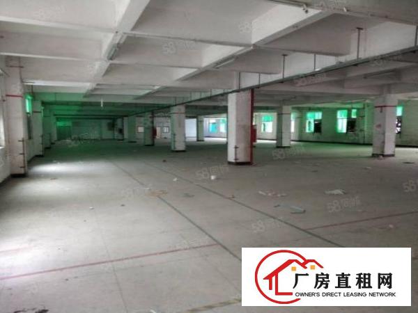  横岗六约牛始埔村新出村委一楼1100平方价格低至25元