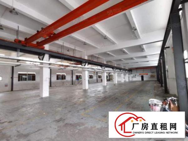  横岗大康新出原房东独院3390平方一楼层高6米带行车